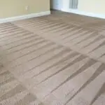 Crisp diagonal vacuum lines across beige carpet
